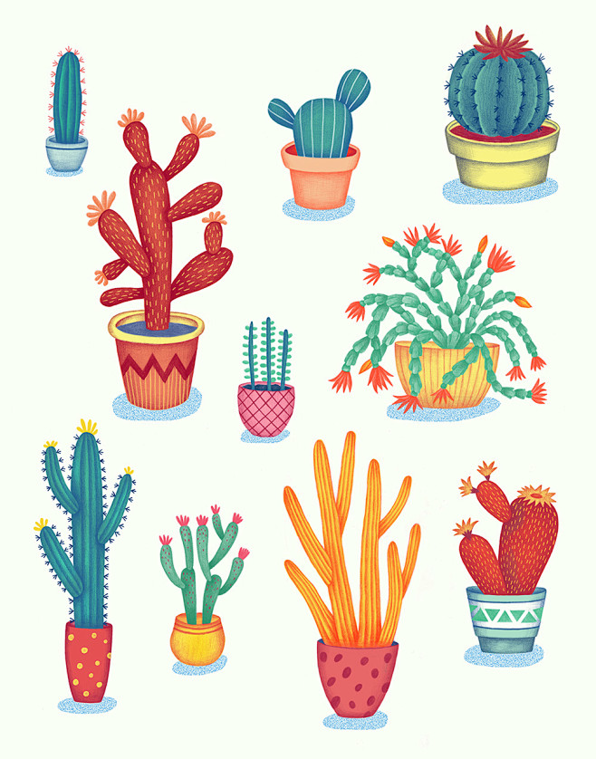 Cactus! : cacti!