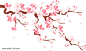 手绘樱花树装饰