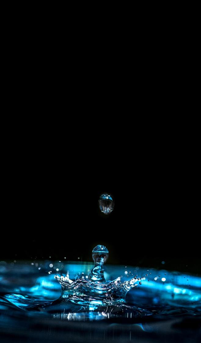 close-up photography...