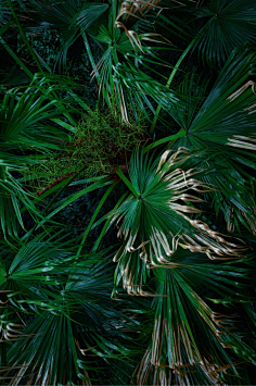 色彩darkgreenblue清冷孤寂