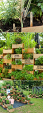 Who says you don't have any room for an herb garden. could make a gorgeous living wall/divider for privacy: