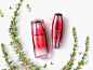 Shiseido Social content