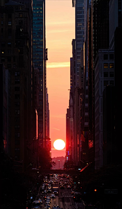 uJEuwBID采集到场景