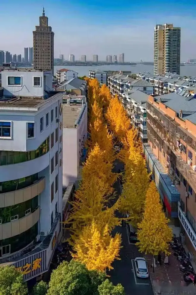 点击查看图片来源-花瓣网