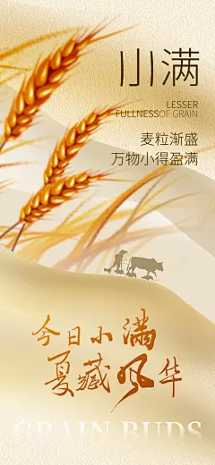 24节气小满时节五月夏日夏天宣传海报