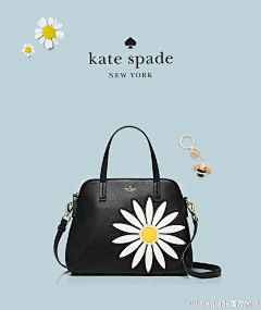 穹=睘采集到品牌素材-Katespade-凯特丝蓓