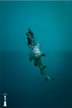 江湖人称五爷采集到生物