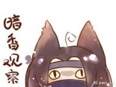 来自分享