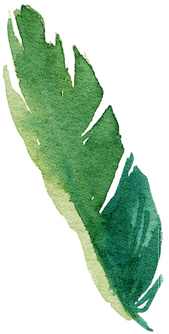 泠汐采集到植物
