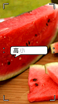 文体娱乐生活分享简约竖版视频