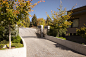 山顶别墅 Cove’s End by Paul Sangha Landscape Architecture – mooool木藕设计网