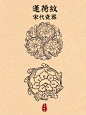 中国传统纹样临摹｜莲荷纹