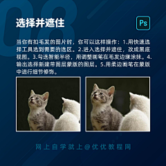 Chihiro_VVV采集到教程
