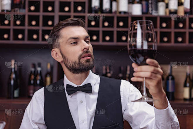 侍酒师葡萄酒品鉴