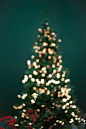 一棵圣诞树 ​​​​_房地产 节气 节日 _T20201224 