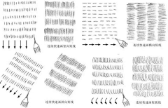 泉水叮咚0613采集到绘画-入门-第四档-排线