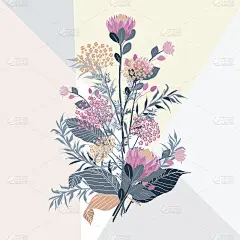 对园林植物自然protea花卉做成白色手绘插画。