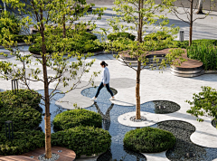 紫酥儿采集到01-landscape景观