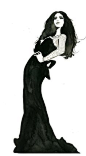 fashion illustration