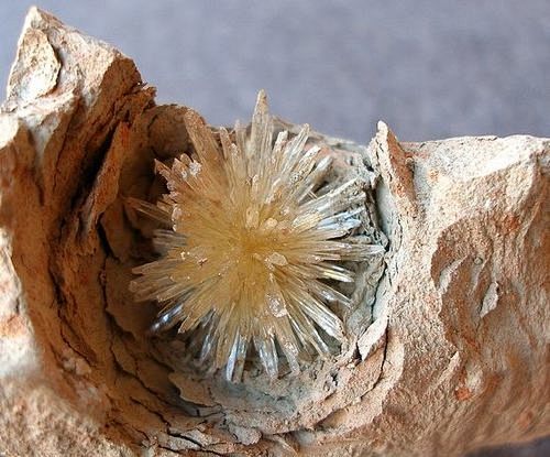 ggeology:
Aragonite ...