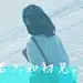 依米zj