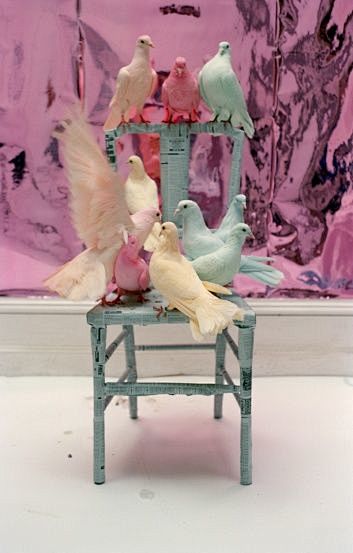 pastel doves // tim ...