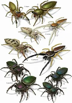 ce5f7339c60d4f397c01a0021070724e.jpg (97.0 KB,720*1035)