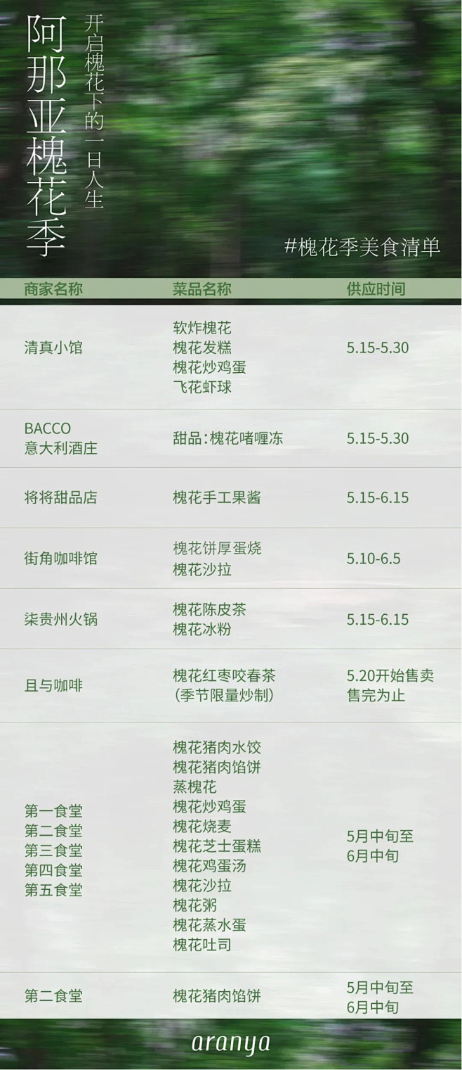 阿那亚槐花季丨生活自由生长，万物皆可诗意