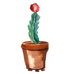 嘿嘿嘿卡啦采集到植物插画