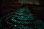 太阳能发光的自行车道路http://www.ownlike.com/starry-night-glowing.html