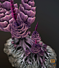 Alien plant Succulent, Johan De Leenheer : Alien plant model for real-time applications, available as stock media on (https://www.cgtrader.com/iterateCGI)