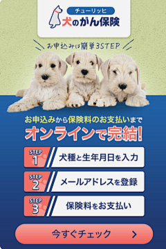 冰淇淋with采集到宠物