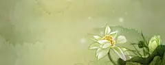 手绘荷花精美桌面壁纸