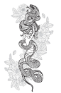 蛇女人纹身手绘插画