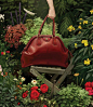 This contains an image of: Gucci's Alessandro Michele Taps Ignasi Monreal In 'Utopian Fantasy' Spring/Summer 2018 Campaign — Anne of Carversville