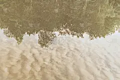 日落时湖水中树木和云彩的倒影