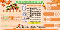 扁平风秋季健康教育宣传栏 展板