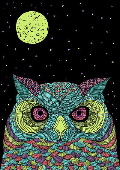 猫头鹰 owls-插画家园