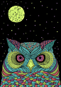 猫头鹰 owls-插画家园 #小清新#