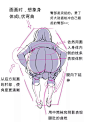 变，变态！身后视角的绘画教程！ : 学画画将来可以：\x0a1.成为高收入的自由画师！\x0a2.获得额外收入一单几百几千赚零花钱！\x0a3.获得随心所欲的绘画技能！\x0a4.治疗懒癌进入自律开挂的人生！