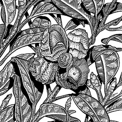 针管画类型 黑白 (8)