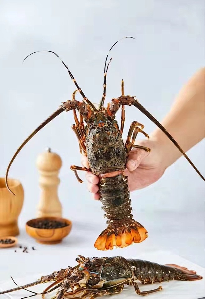 厂家直供小青龙虾鲜活速冻大龙虾大青龙花龙...