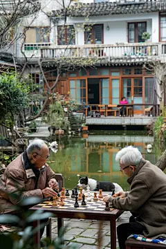 下棋的老人公益项目