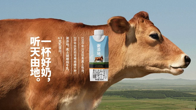 谢添地 | 一杯好奶，听天由地 - 小红...