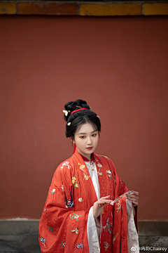 隔壁的大兔子采集到摄影