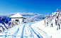 自然唯美的雪景壁纸大全43123_冬雪系列_风景风光类_图库壁纸_联盟素材