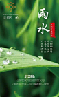 雨水图片_百度图片搜索