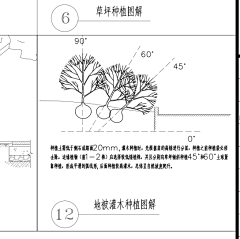 sigggg采集到种植2