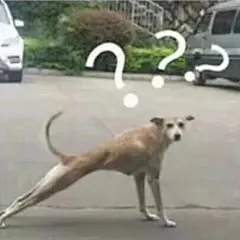 【图片】(猫狗表情) 分享 喜欢自取 ~~~~~【表情包吧】_百度贴吧