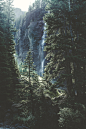 A waterfall pouring down a steep rocky face near coniferous woods in Telluride